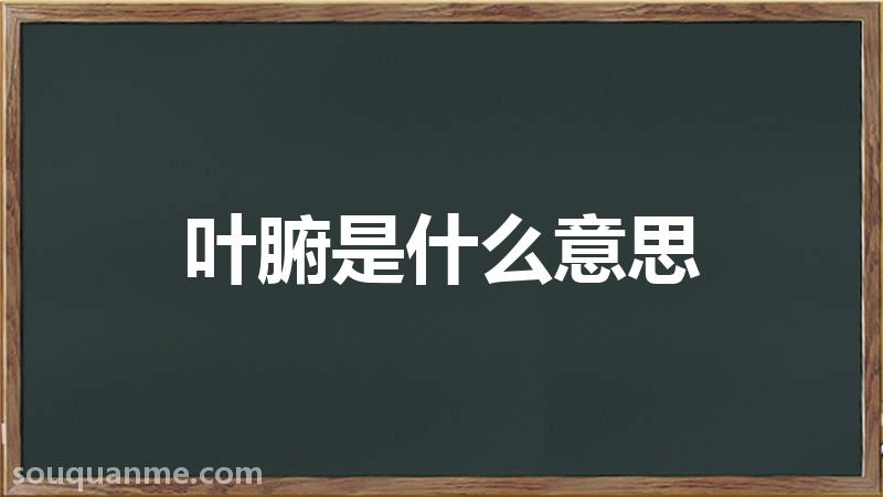 叶腑是什么意思 叶腑的读音拼音 叶腑的词语解释